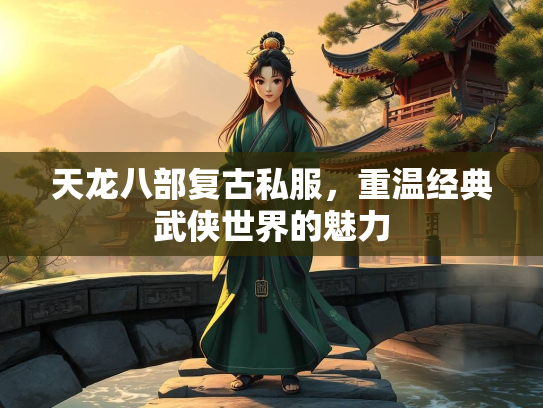 天龙八部复古私服，重温经典武侠世界的魅力  第1张