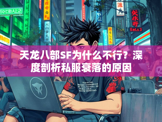 天龙八部SF为什么不行？深度剖析私服衰落的原因  第2张