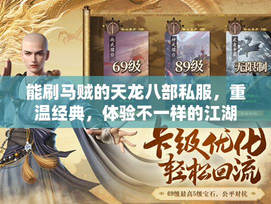 能刷马贼的天龙八部私服，重温经典，体验不一样的江湖  第2张