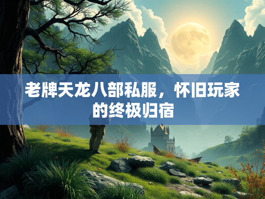 老牌天龙八部私服，怀旧玩家的终极归宿  第1张
