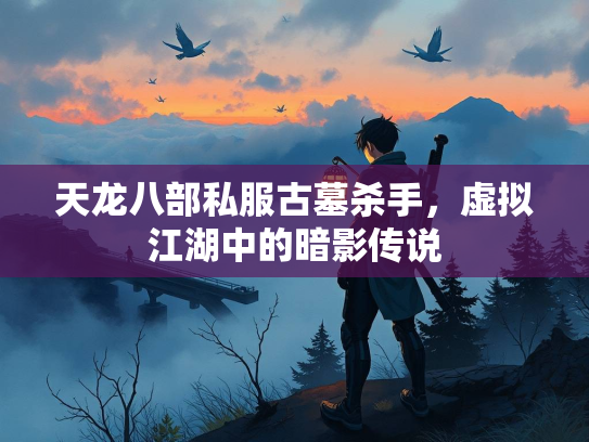 天龙八部私服古墓杀手，虚拟江湖中的暗影传说  第2张