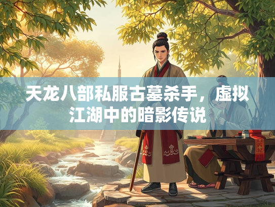 天龙八部私服古墓杀手，虚拟江湖中的暗影传说  第3张