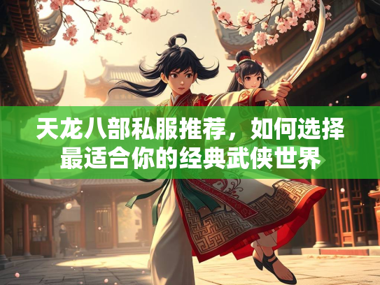 天龙八部私服推荐，如何选择最适合你的经典武侠世界  第2张