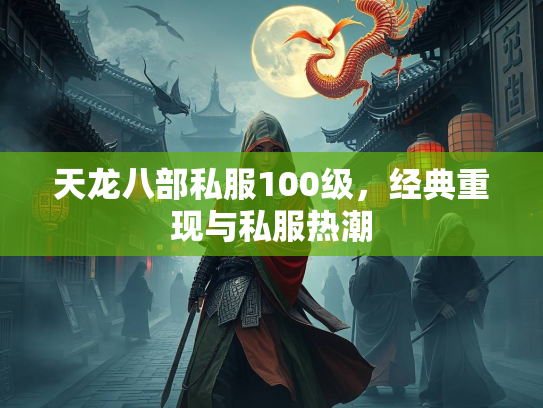 天龙八部私服100级，经典重现与私服热潮  第2张
