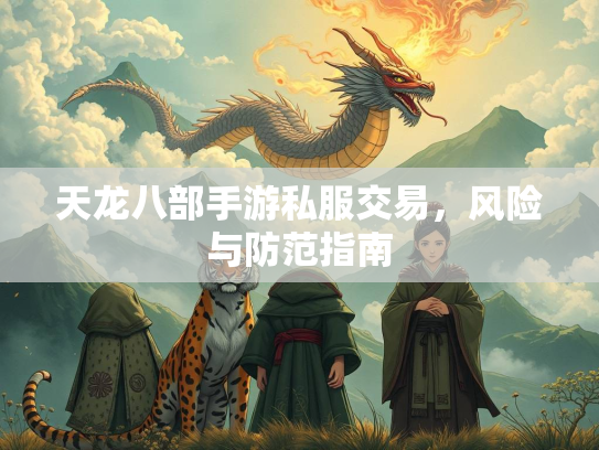 天龙八部手游私服交易，风险与防范指南  第2张