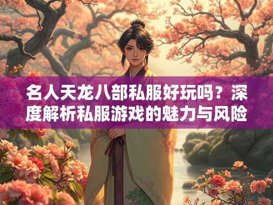 名人天龙八部私服好玩吗？深度解析私服游戏的魅力与风险  第2张