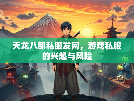 天龙八部私服发网，游戏私服的兴起与风险  第2张