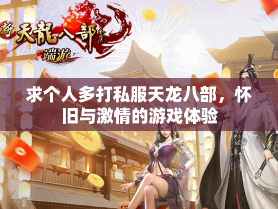 求个人多打私服天龙八部，怀旧与激情的游戏体验  第2张