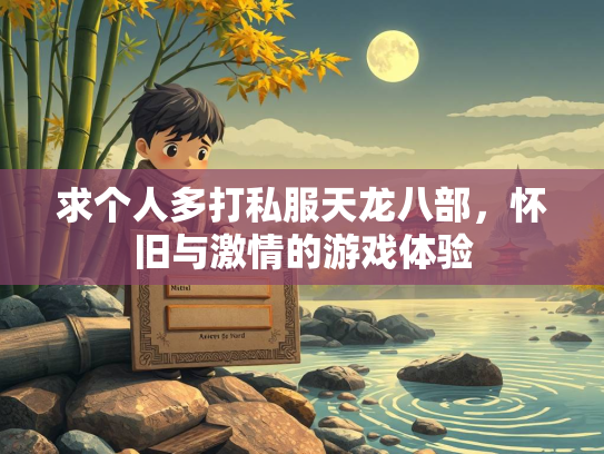 求个人多打私服天龙八部，怀旧与激情的游戏体验  第3张