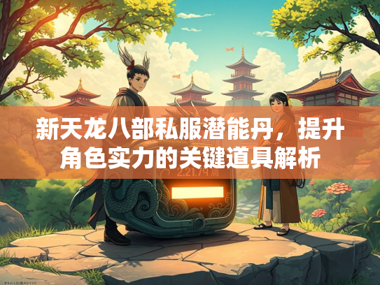 新天龙八部私服潜能丹，提升角色实力的关键道具解析  第3张