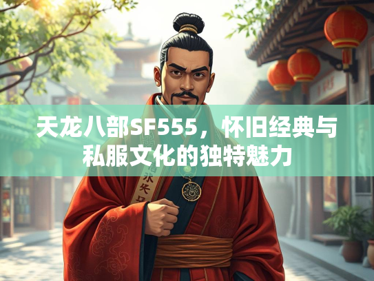天龙八部SF555，怀旧经典与私服文化的独特魅力  第2张