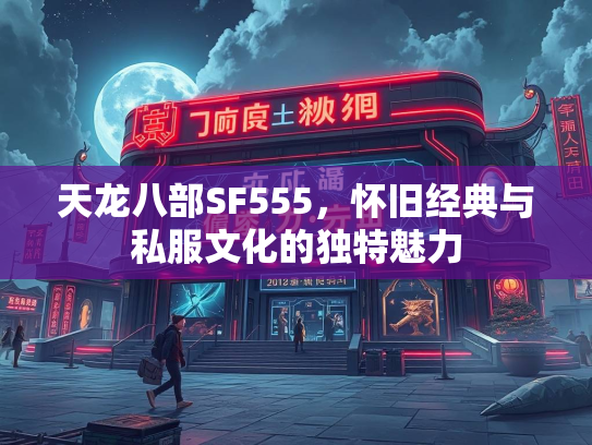 天龙八部SF555，怀旧经典与私服文化的独特魅力  第1张