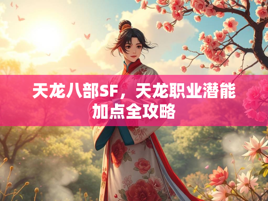 天龙八部SF，天龙职业潜能加点全攻略  第2张