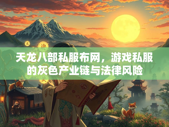 天龙八部私服布网，游戏私服的灰色产业链与法律风险  第3张