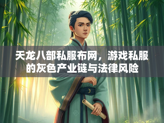 天龙八部私服布网，游戏私服的灰色产业链与法律风险  第1张