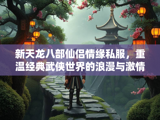 新天龙八部仙侣情缘私服，重温经典武侠世界的浪漫与激情  第2张