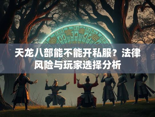 天龙八部能不能开私服？法律风险与玩家选择分析  第2张