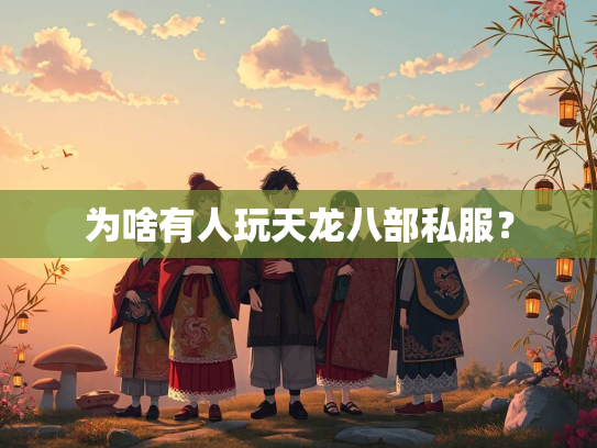 为啥有人玩天龙八部私服？  第1张