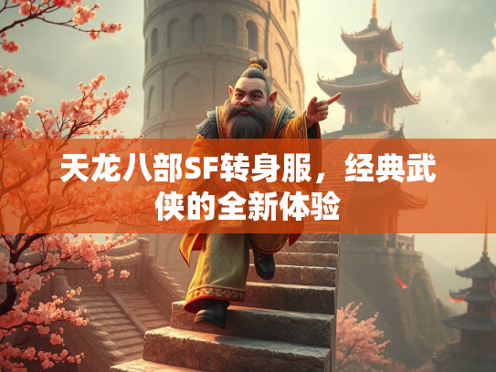 天龙八部SF转身服，经典武侠的全新体验  第2张