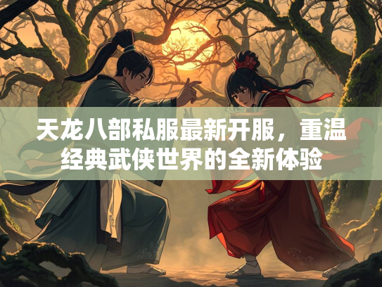 天龙八部私服最新开服，重温经典武侠世界的全新体验  第2张