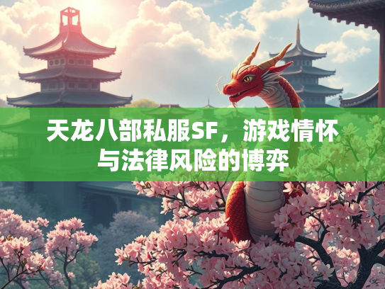 天龙八部私服SF，游戏情怀与法律风险的博弈  第2张