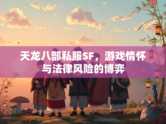 天龙八部私服SF，游戏情怀与法律风险的博弈  第3张