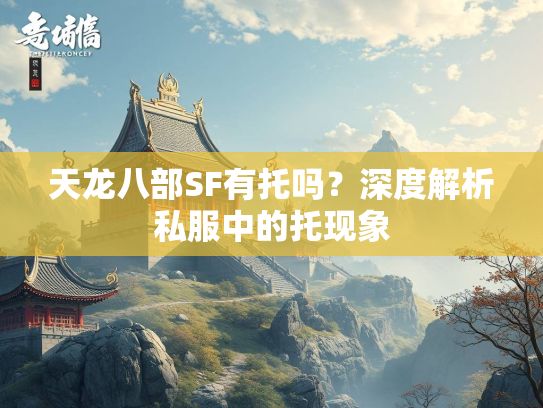 天龙八部SF有托吗？深度解析私服中的托现象  第2张