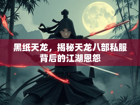 黑纸天龙，揭秘天龙八部私服背后的江湖恩怨  第1张
