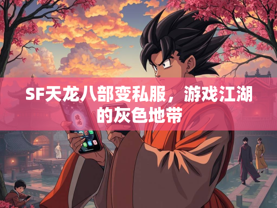 SF天龙八部变私服，游戏江湖的灰色地带  第3张