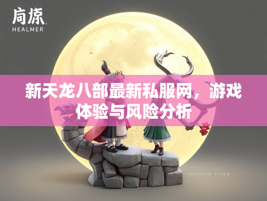 新天龙八部最新私服网，游戏体验与风险分析  第2张