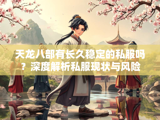 天龙八部有长久稳定的私服吗？深度解析私服现状与风险  第2张