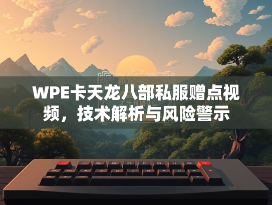 WPE卡天龙八部私服赠点视频，技术解析与风险警示