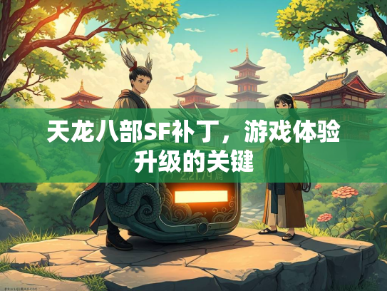 天龙八部SF补丁，游戏体验升级的关键  第2张