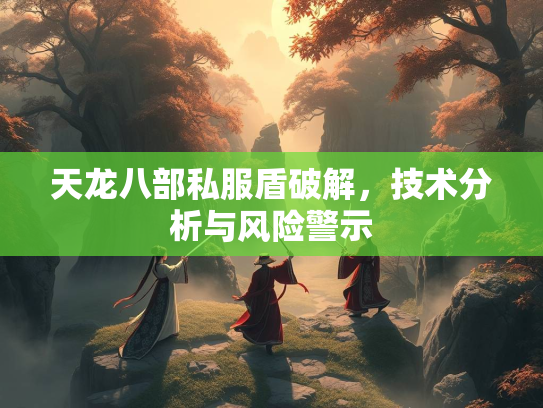 天龙八部私服盾破解，技术分析与风险警示  第3张