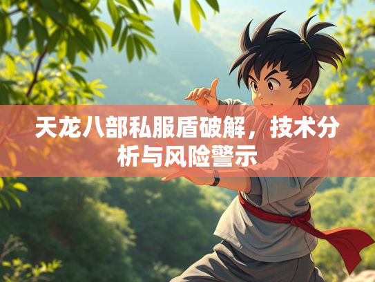 天龙八部私服盾破解，技术分析与风险警示  第1张