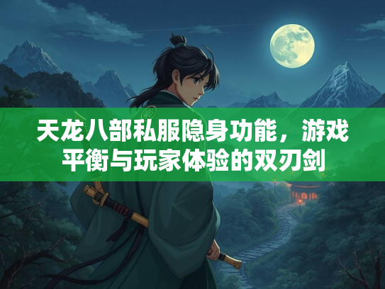 天龙八部私服隐身功能，游戏平衡与玩家体验的双刃剑  第3张