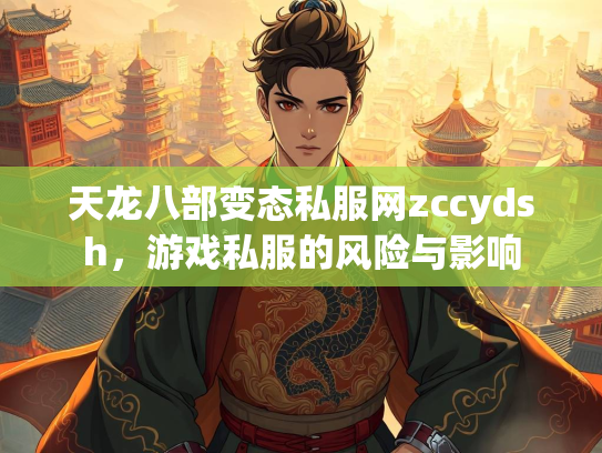 天龙八部变态私服网zccydsh，游戏私服的风险与影响  第2张