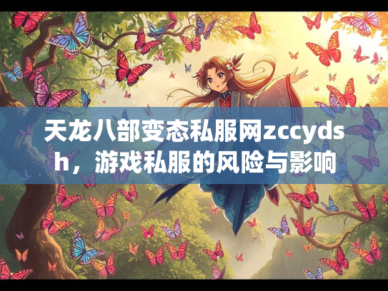 天龙八部变态私服网zccydsh，游戏私服的风险与影响  第1张