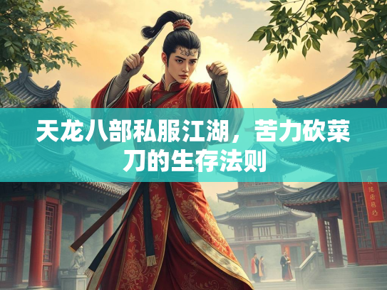 天龙八部私服江湖，苦力砍菜刀的生存法则  第3张