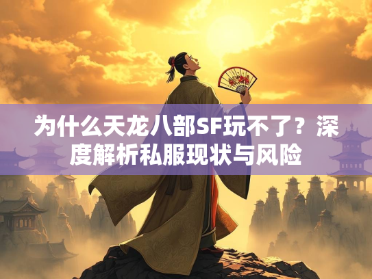 为什么天龙八部SF玩不了？深度解析私服现状与风险  第2张