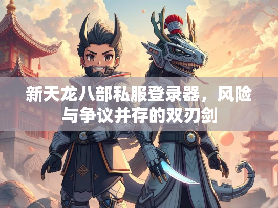 新天龙八部私服登录器，风险与争议并存的双刃剑  第1张