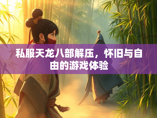 私服天龙八部解压，怀旧与自由的游戏体验  第1张