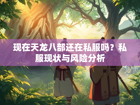现在天龙八部还在私服吗？私服现状与风险分析  第2张