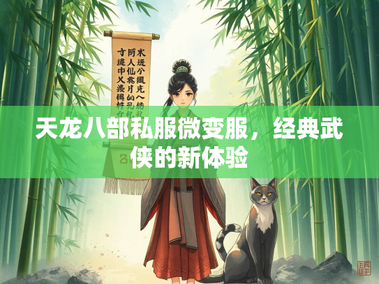 天龙八部私服微变服，经典武侠的新体验  第2张