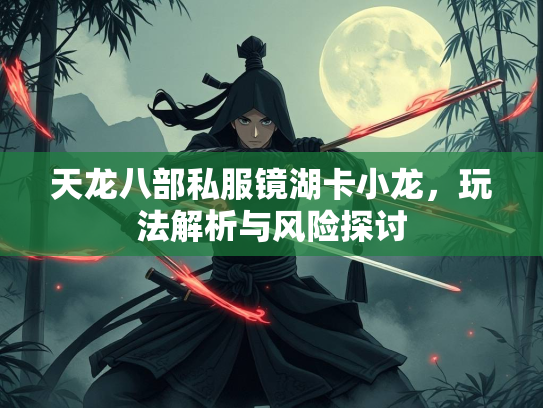 天龙八部私服镜湖卡小龙，玩法解析与风险探讨  第2张