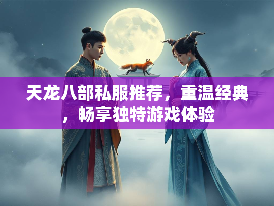 天龙八部私服推荐，重温经典，畅享独特游戏体验  第1张