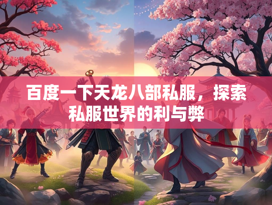 百度一下天龙八部私服，探索私服世界的利与弊  第2张