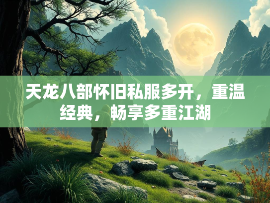 天龙八部怀旧私服多开，重温经典，畅享多重江湖  第2张