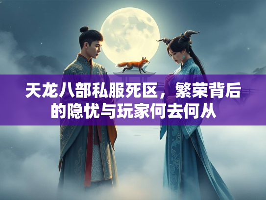 天龙八部私服死区，繁荣背后的隐忧与玩家何去何从  第3张