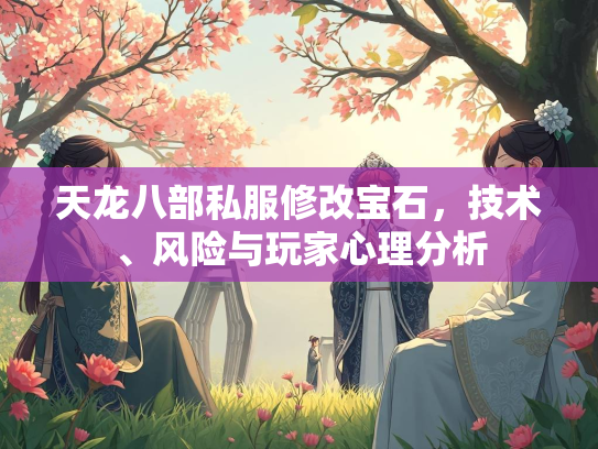 天龙八部私服修改宝石，技术、风险与玩家心理分析  第3张